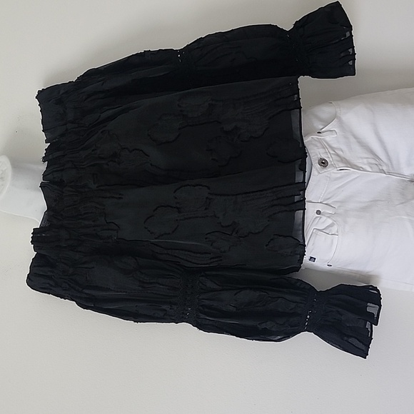 Alexis Raza Off Shoulder diaphanous organza Black top Size Small - Picture 5 of 16